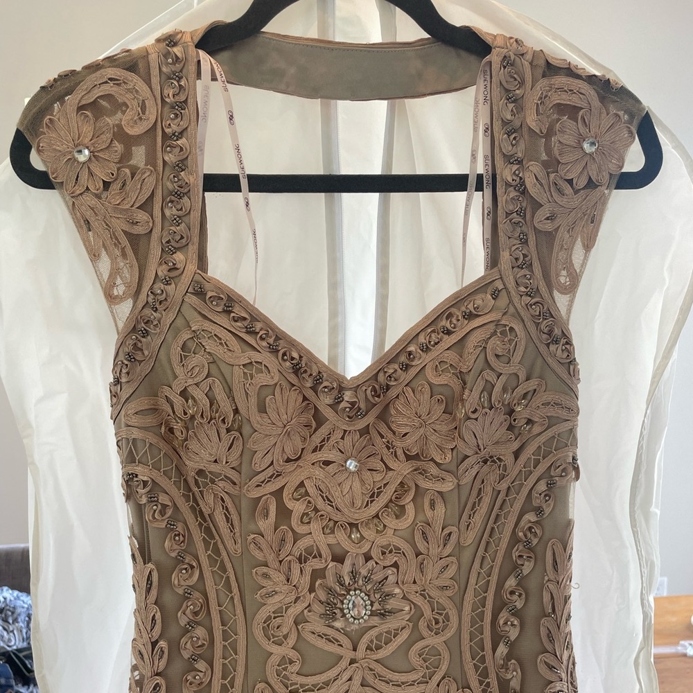 Gorgeous Brand New Sue Wong Gown